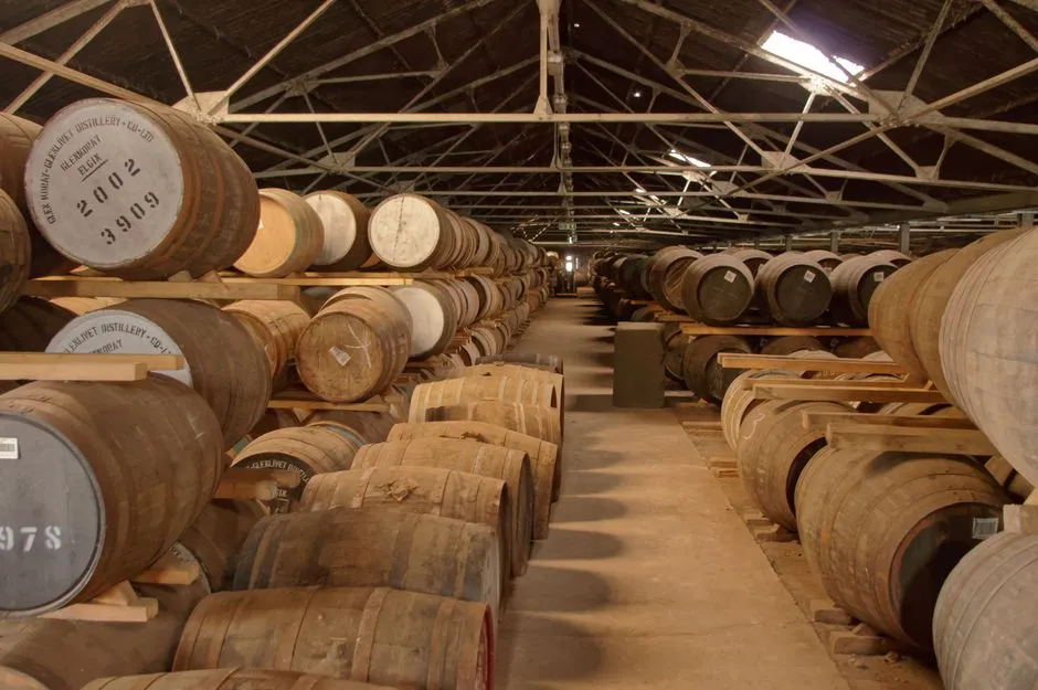 Lexington Bourbon Trip Without Driving: A Safe Plan